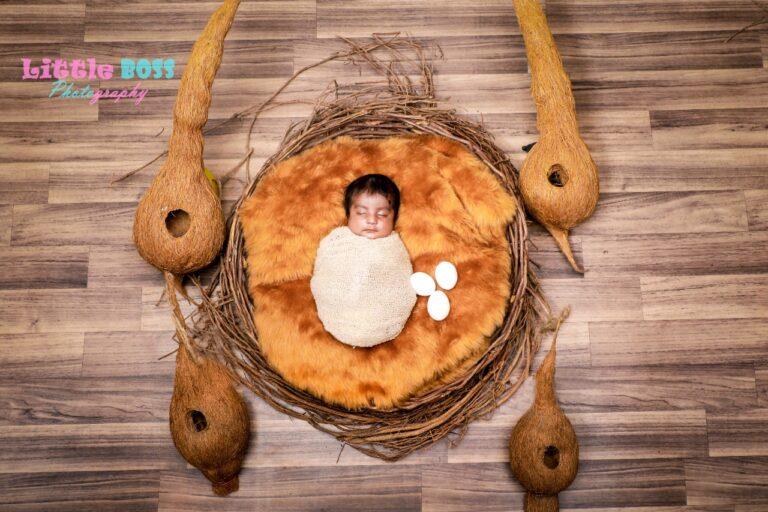 Baby wrapped in a bird basket with eggs on the side inside a nest